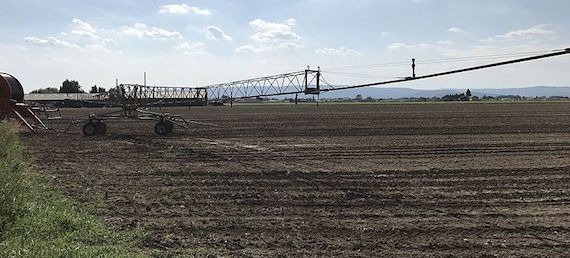 Read more about the article Reuse of reclaimed water for irrigation around the Mediterranean