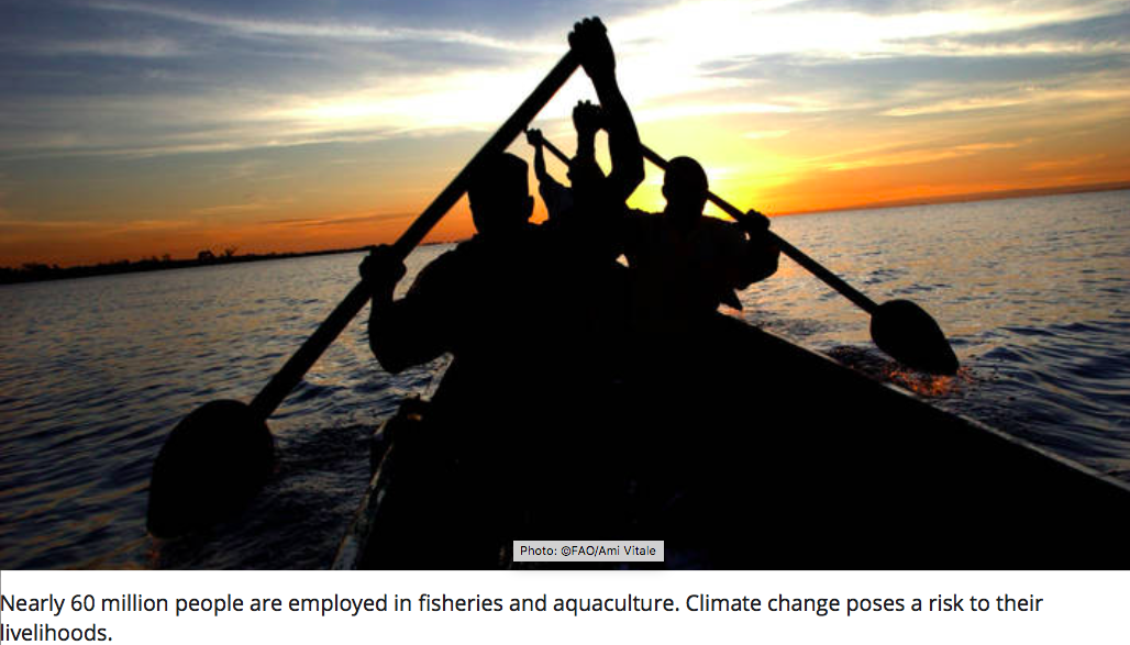 Read more about the article Climate change poised to transform marine and freshwater ecosystems (FAO)