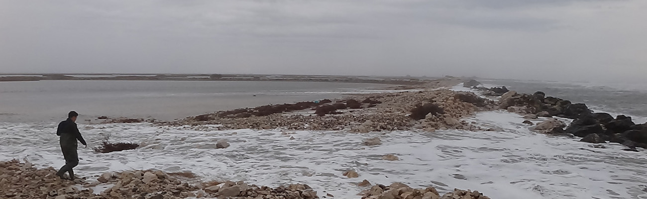 Read more about the article Climate change and risks to sustainable development (MedECC scientific article)