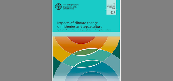 Read more about the article Impacts of climate change on fisheries and aquaculture (FAO)