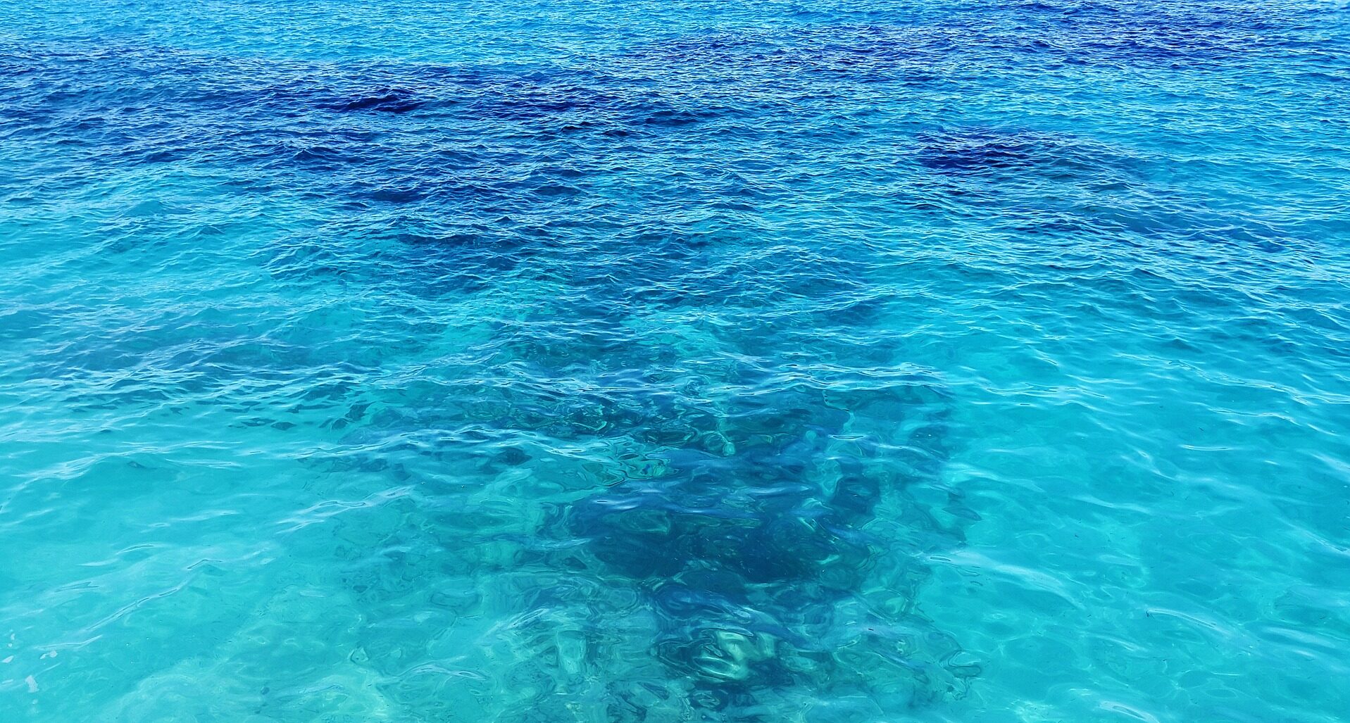 Read more about the article A fast‐moving target: achieving marine conservation goals under shifting climate and policies (article)