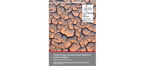 Climate Change Governance and Cooperation in the Arab Region (insight)