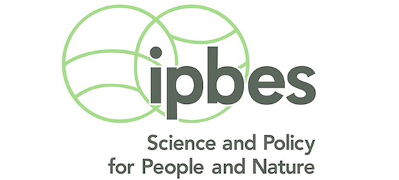 IPBES Global Assessment Report on Biodiversity and Ecosystem Services