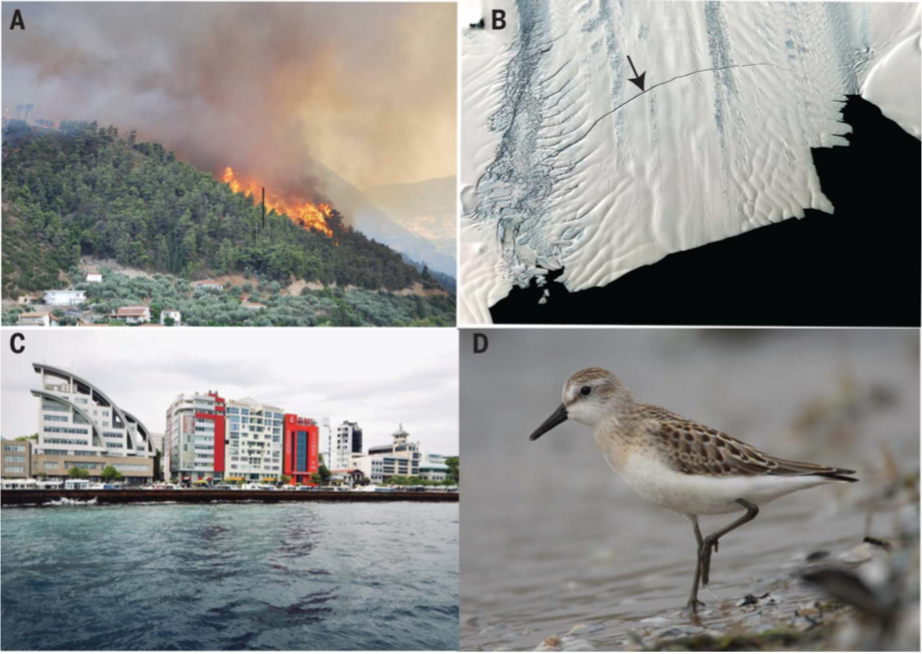 The human imperative of stabilizing global climate change at 1.5°C (article)