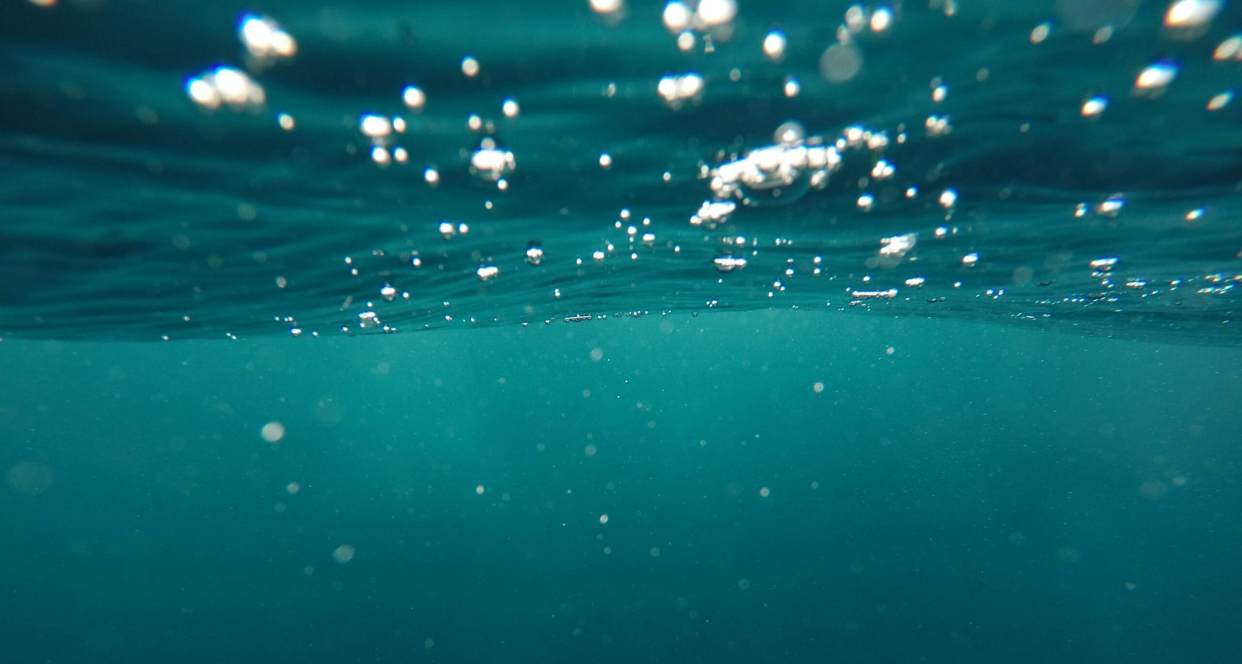 Read more about the article Opportunities for increasing ocean action in climate strategies (IDDRI, Policy Brief)