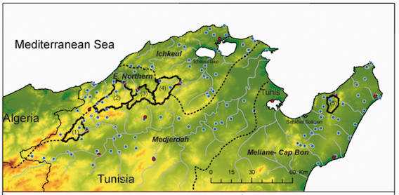Sensitivity of discharge projections to potential evapotranspiration estimation in Northern Tunisia (article)