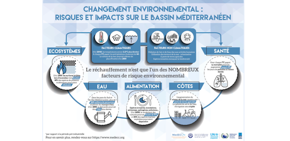 Méditerranée : le rapport du réseau MedECC tire la sonnette d’alarme ! (in French)