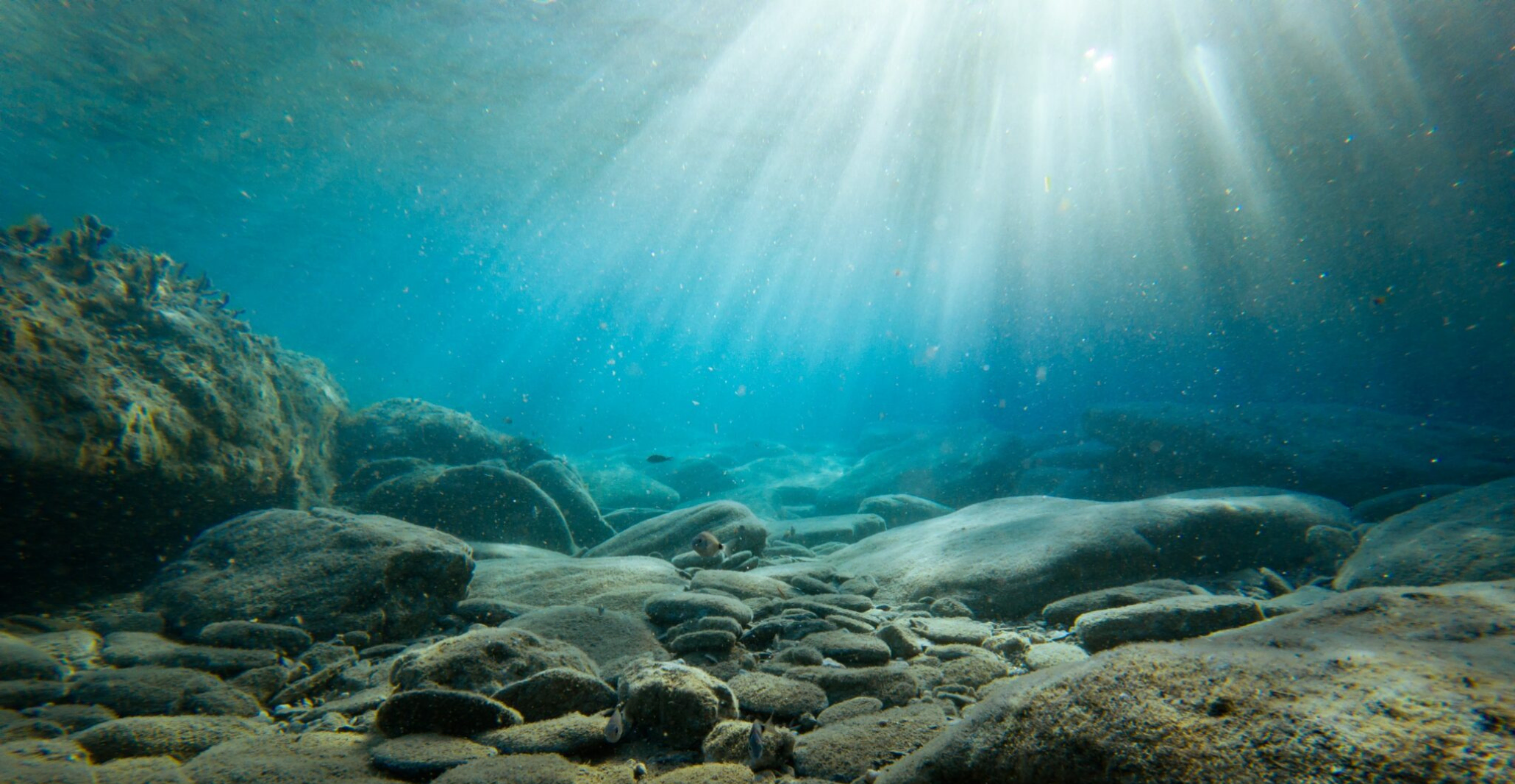Read more about the article “Tackling Ocean Acidification Research in The Mediterranean Sea”: a systematic review by the Ocean Acidification Mediterranean Hub (OA Med-Hub)