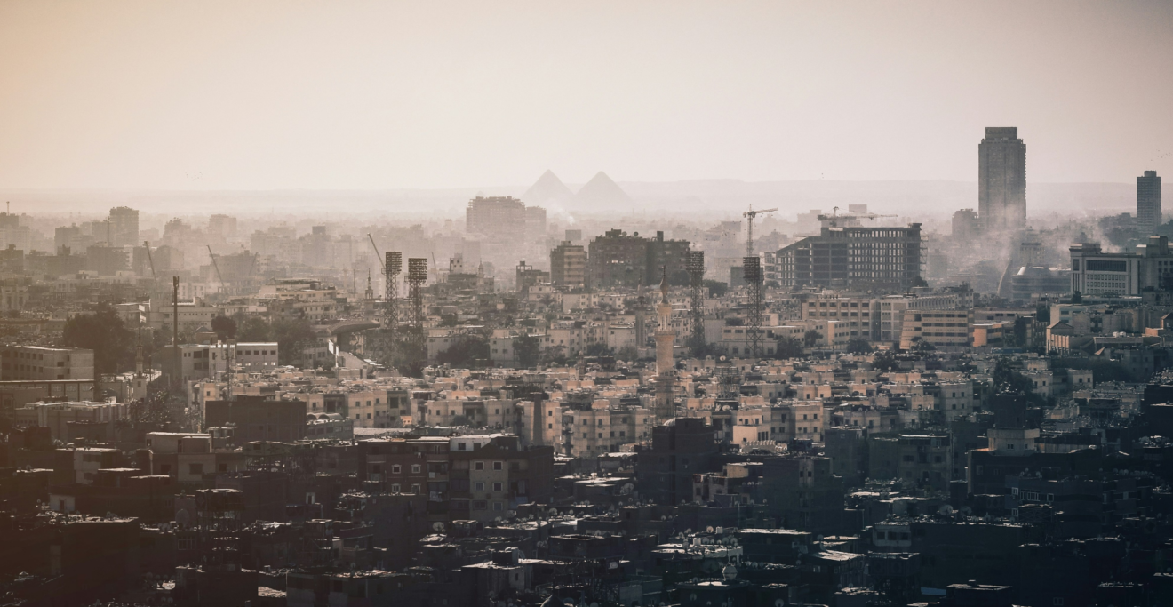 MedECC Representation in Cairo in advancing Science Diplomacy