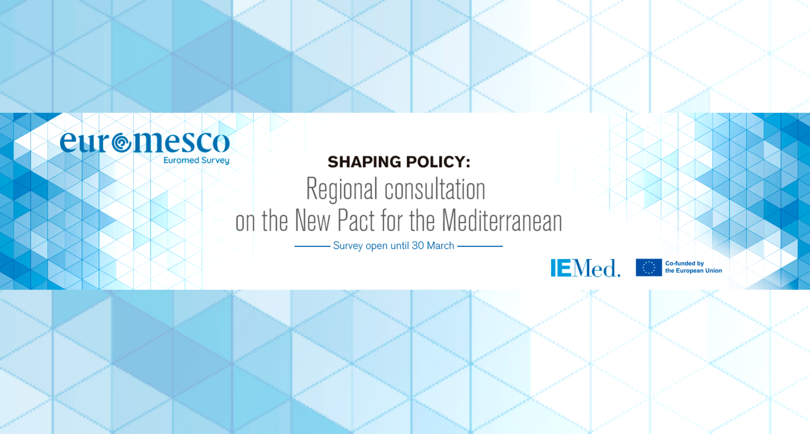 Read more about the article Regional consultation on the New Pact for the Mediterranean